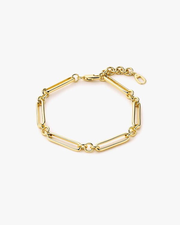 paige gold chain bracelet.jpeg